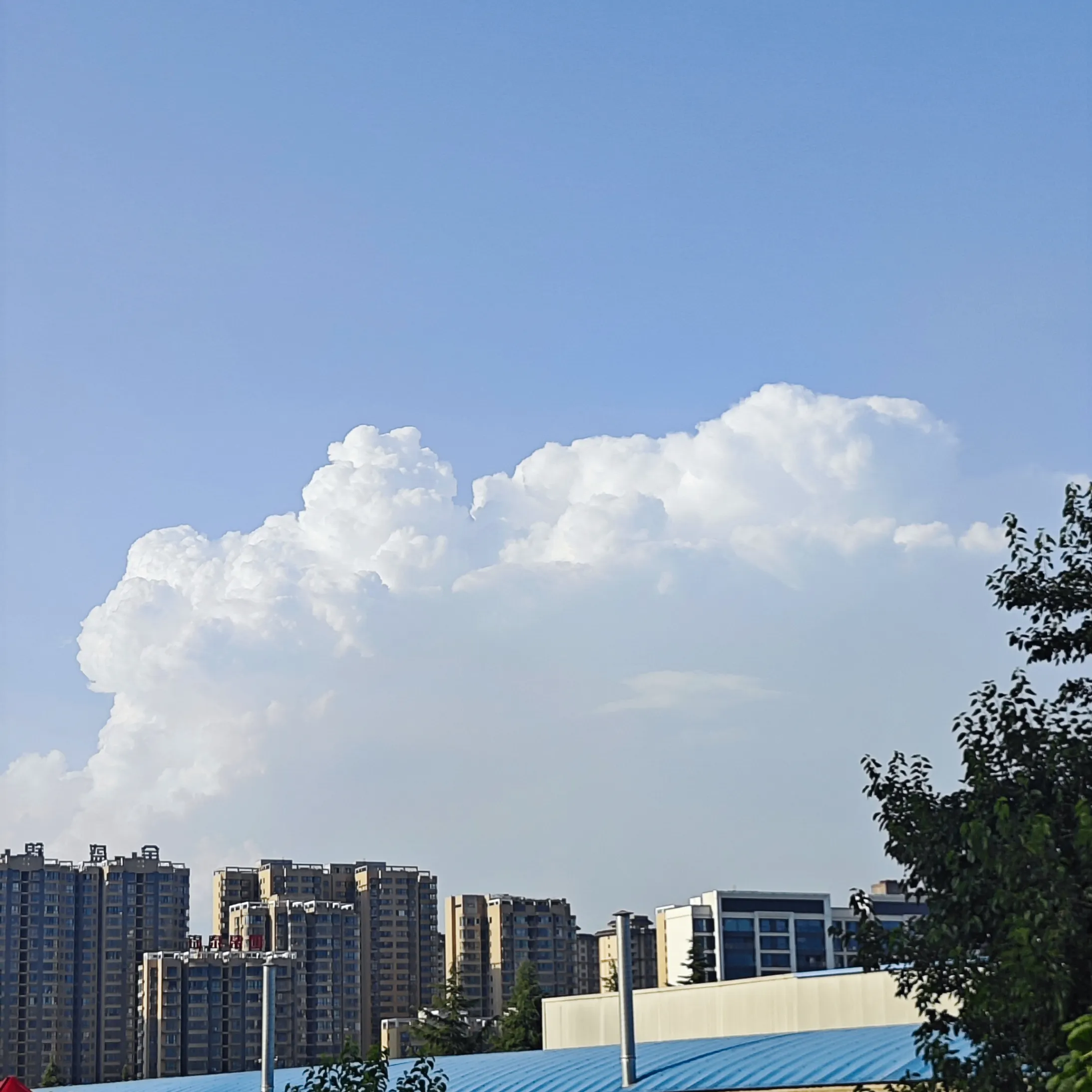 林逸