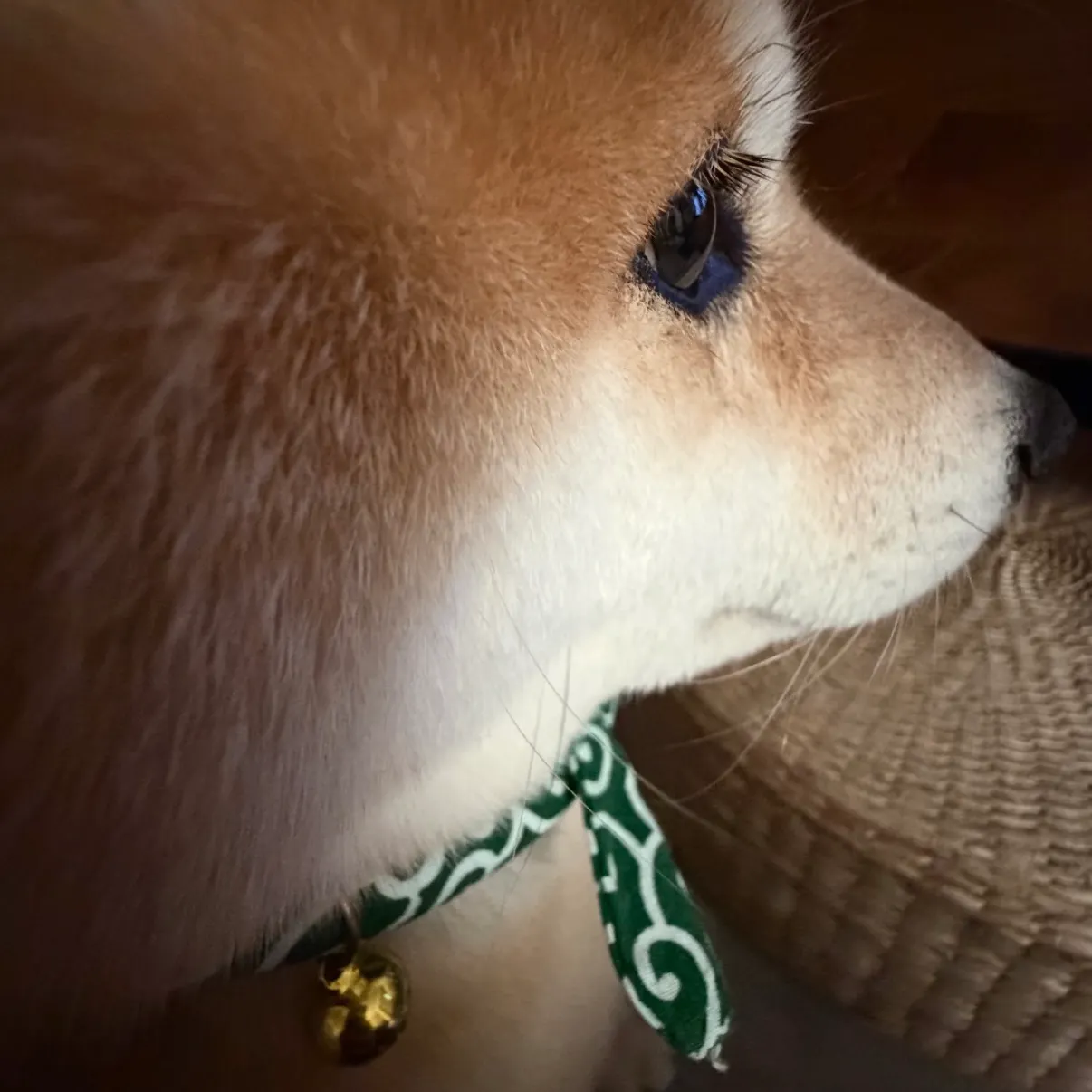 蛋堡