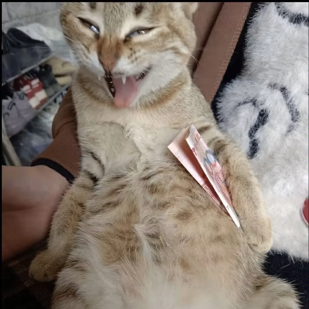 红露