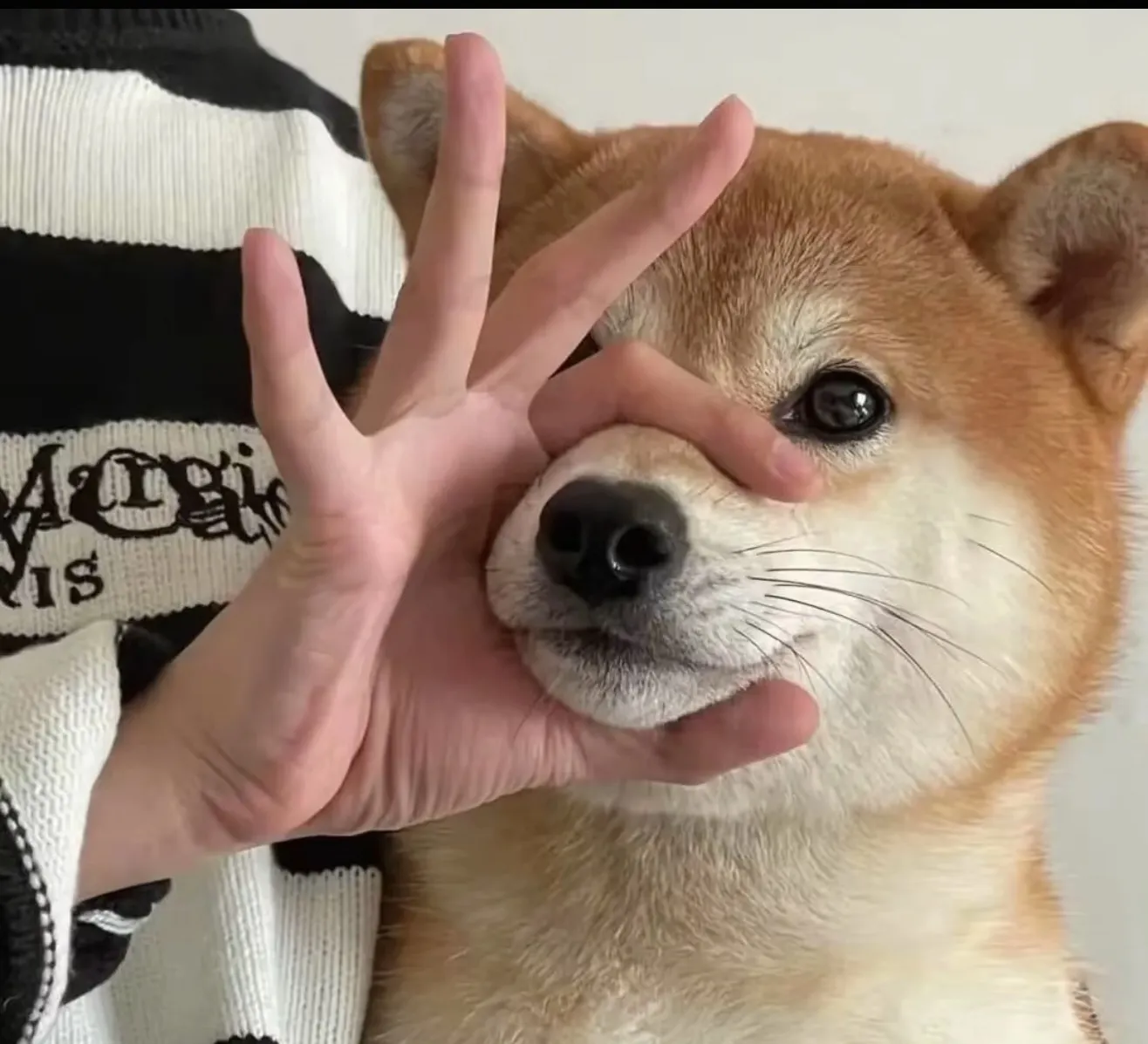 欧多桑