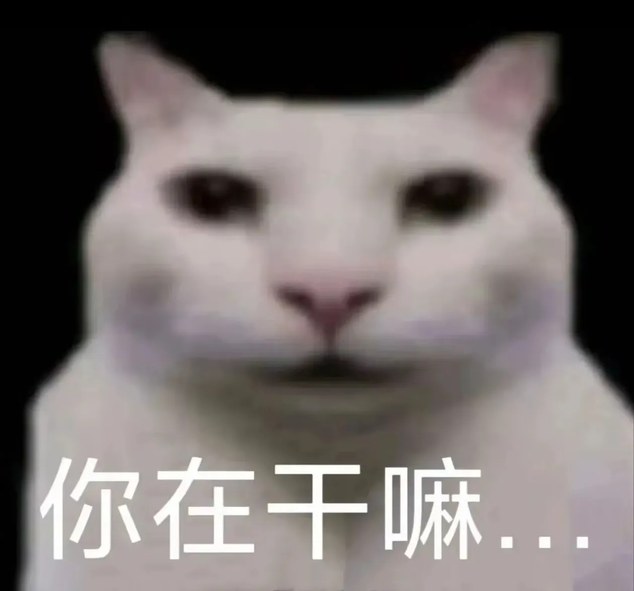 啊啊