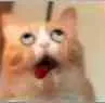 元吶