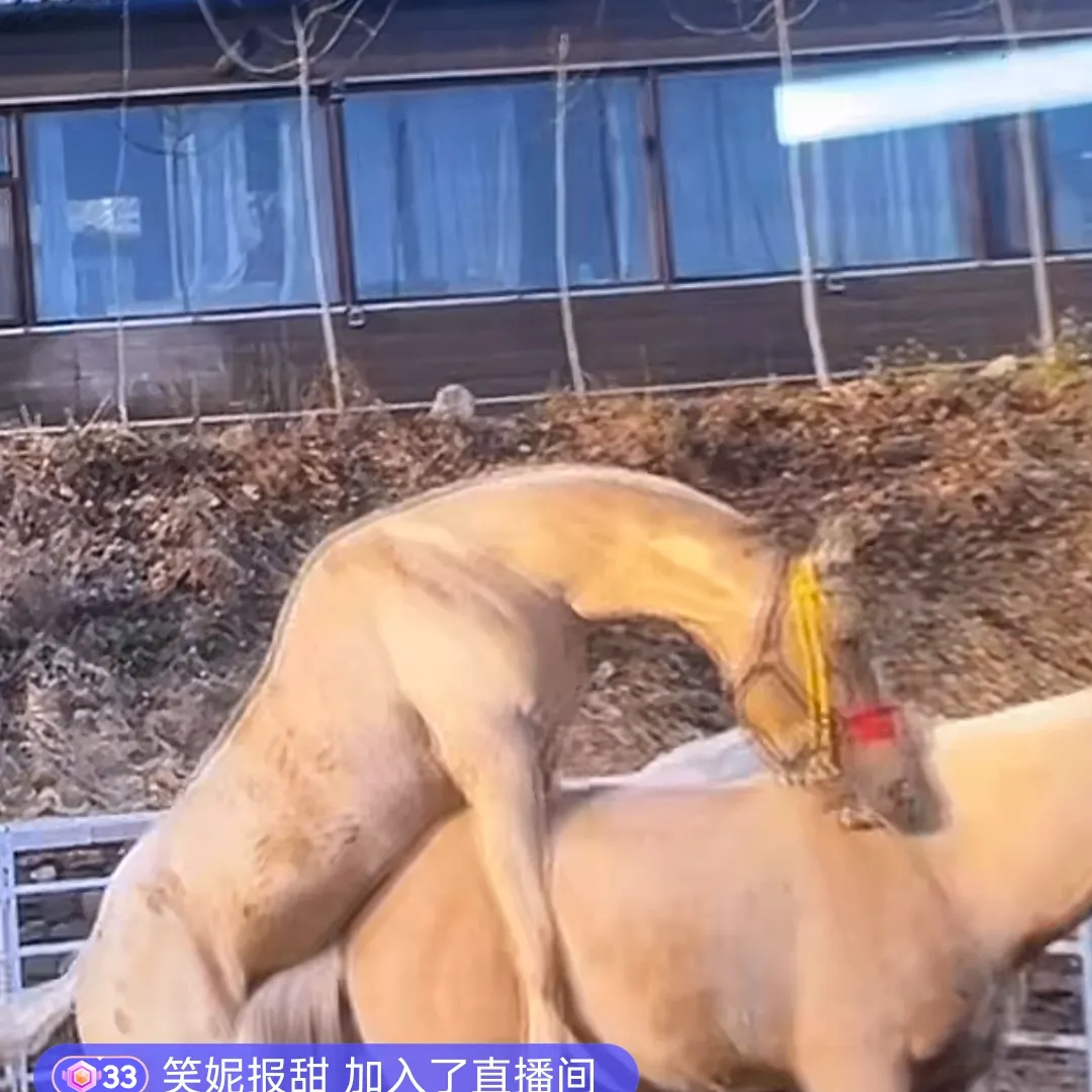 张白