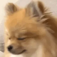 用户13708294