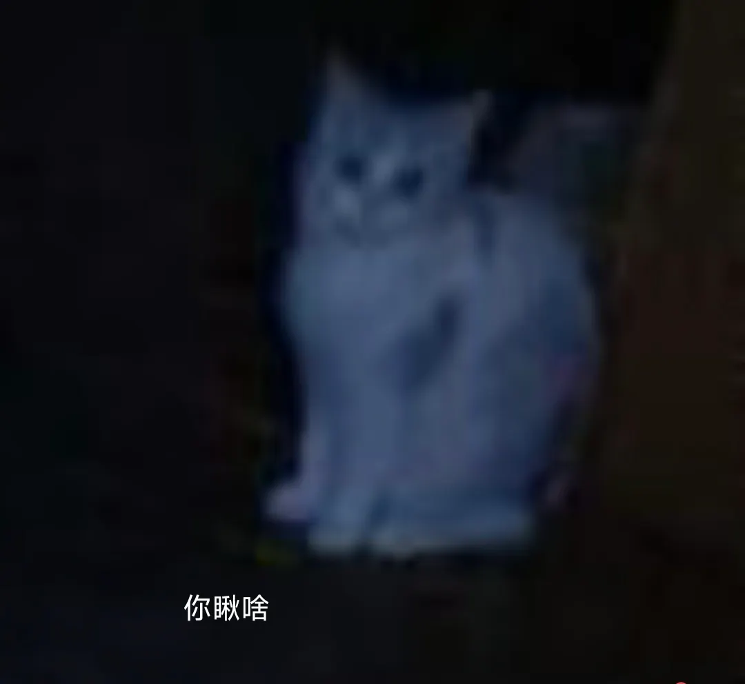 林逸