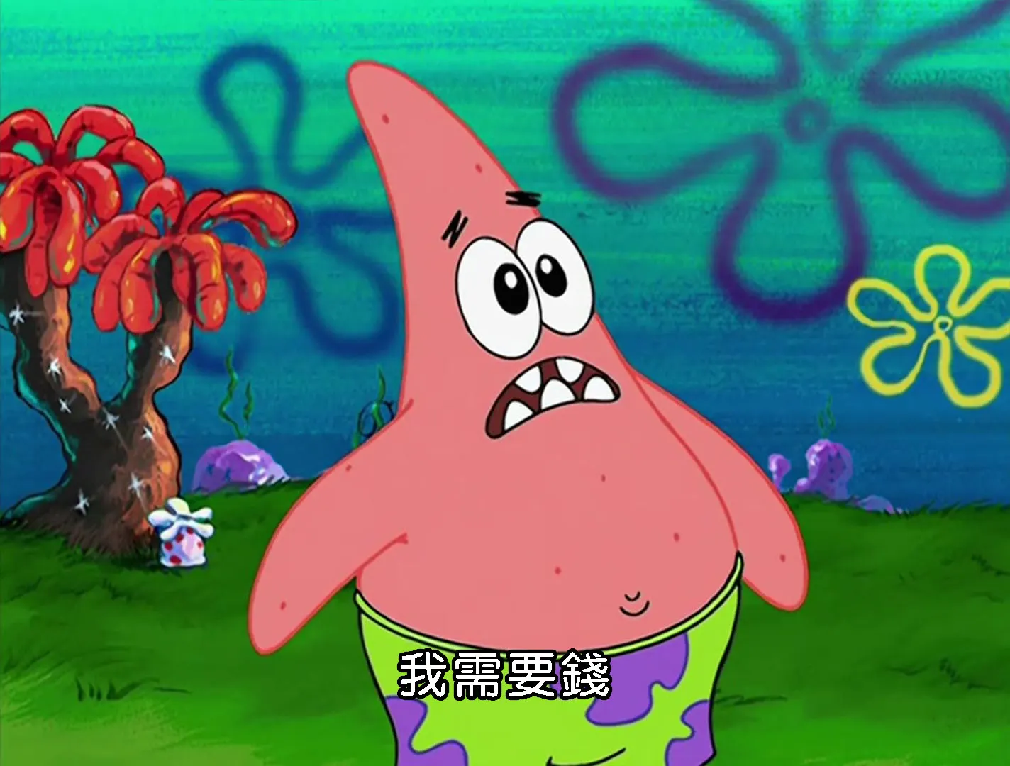 阿奇