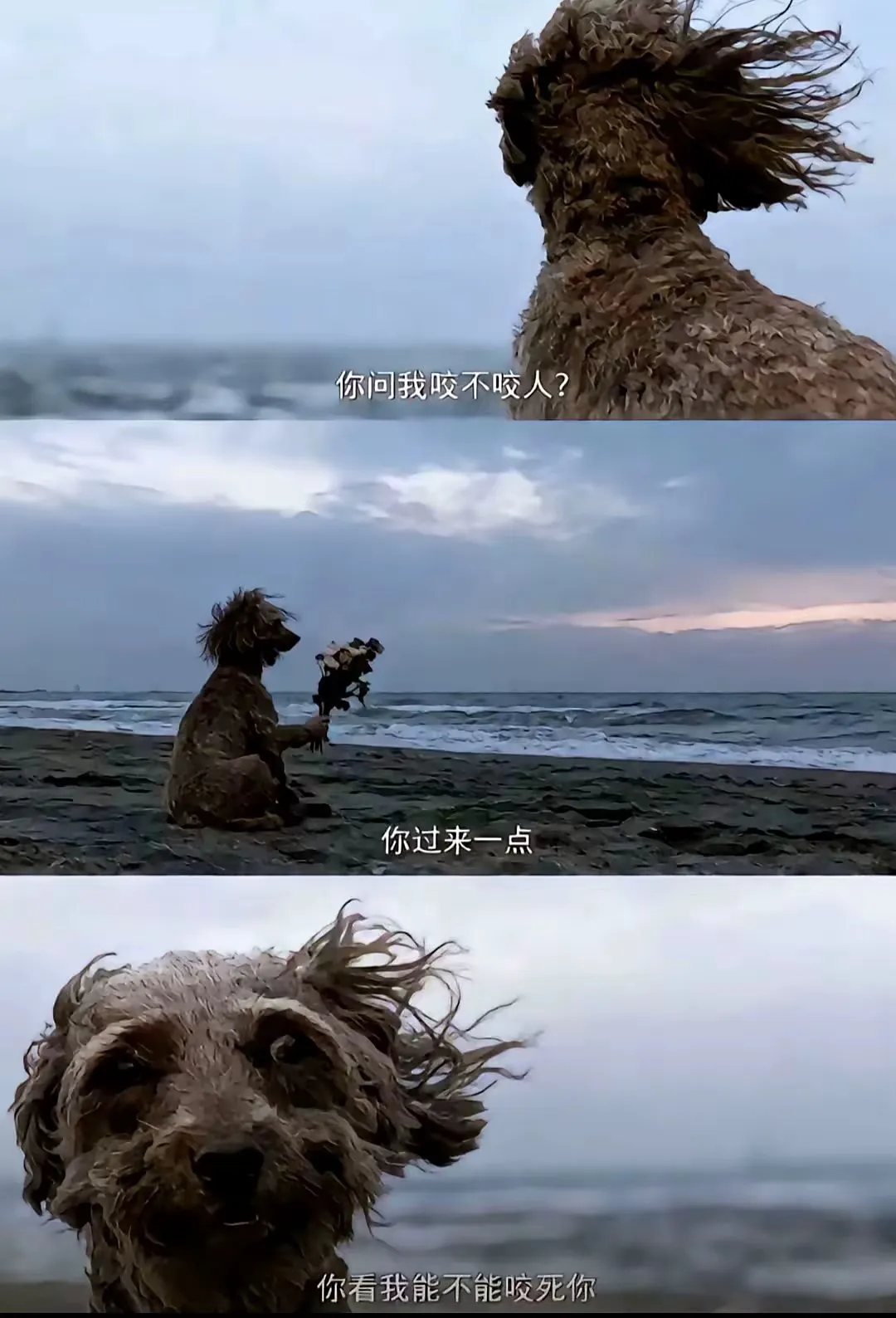 云逸
