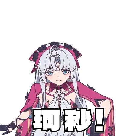 ddjj:接定制