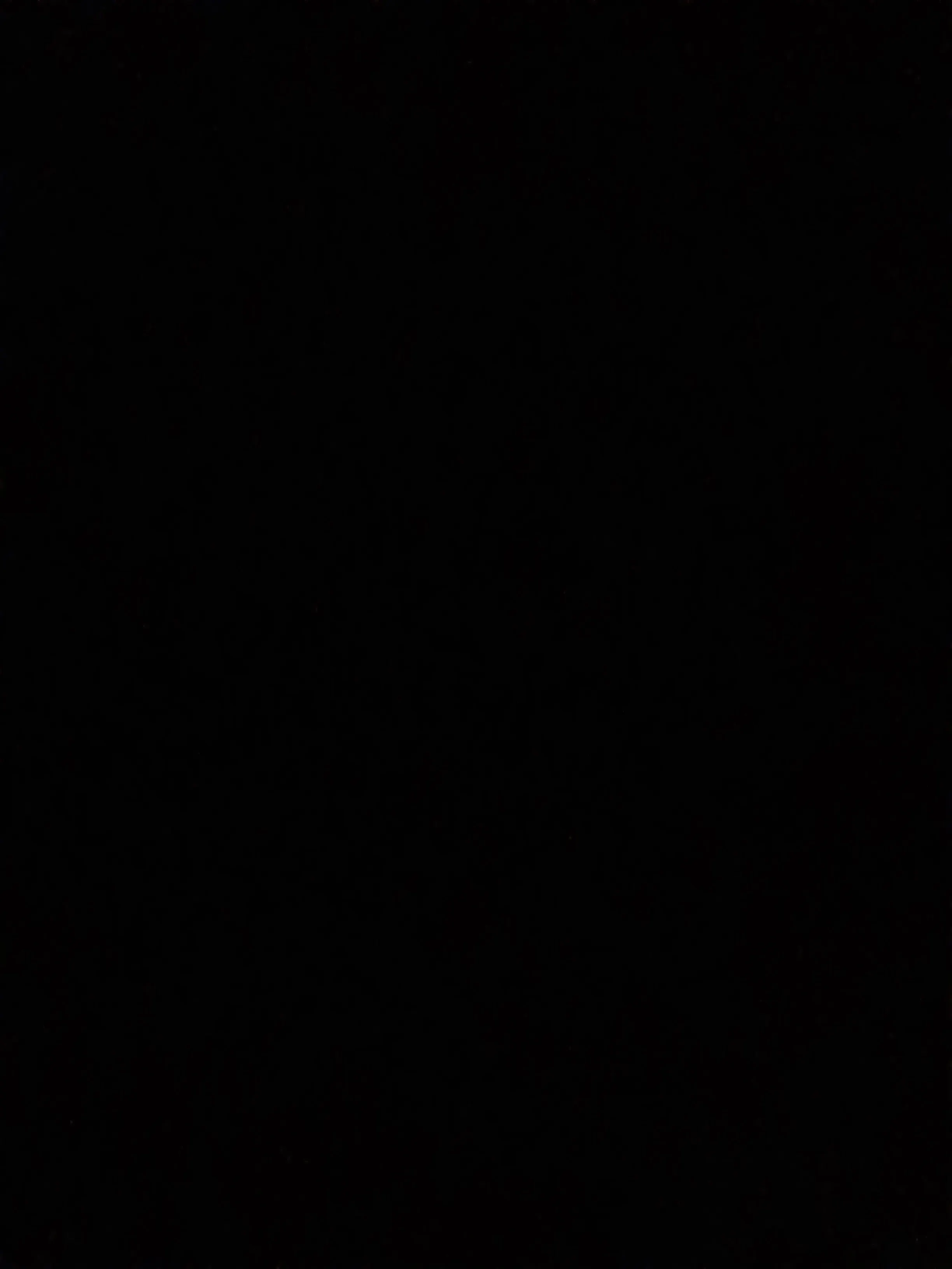 小宝