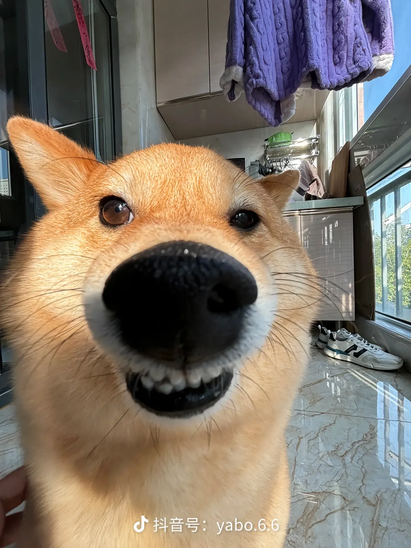 白