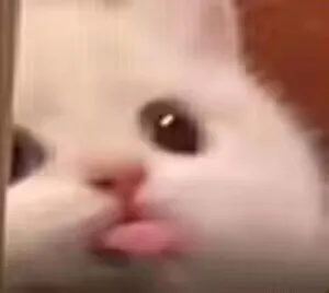 苏念安