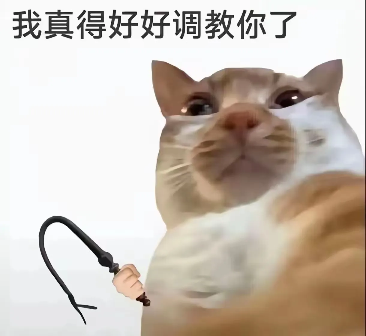 恐怖公