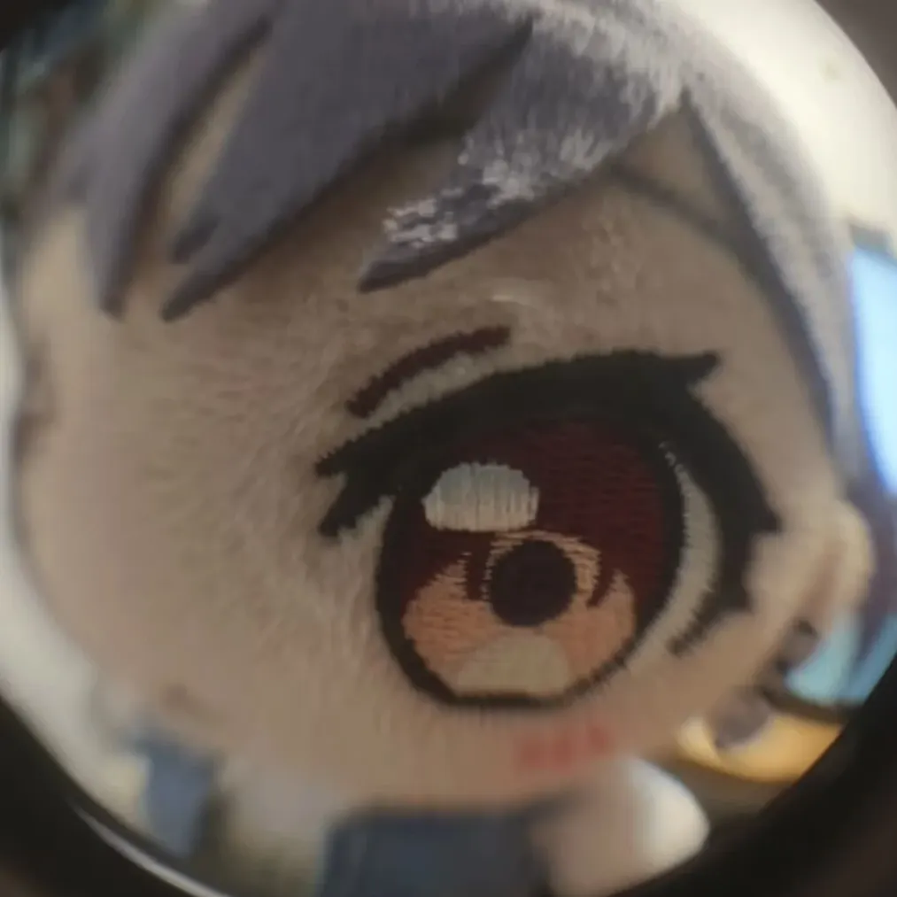 白赫
