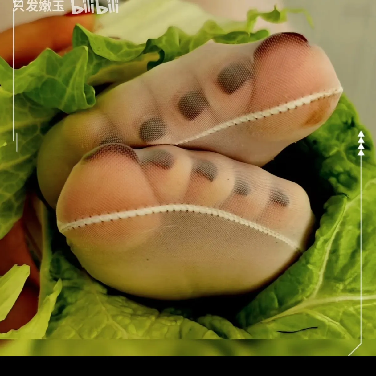 主人