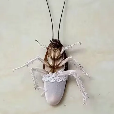 秋
