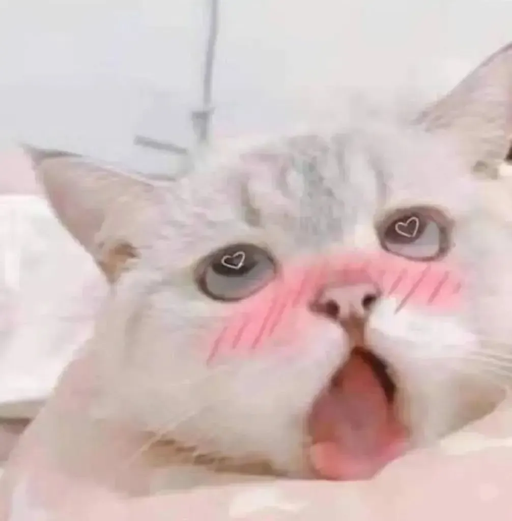 星辰