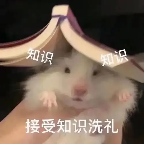 中立混乱XP教徒