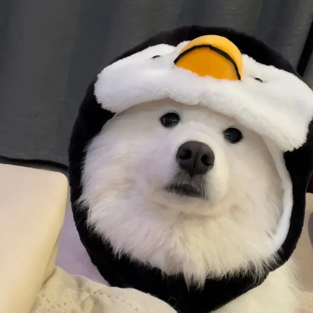 悦