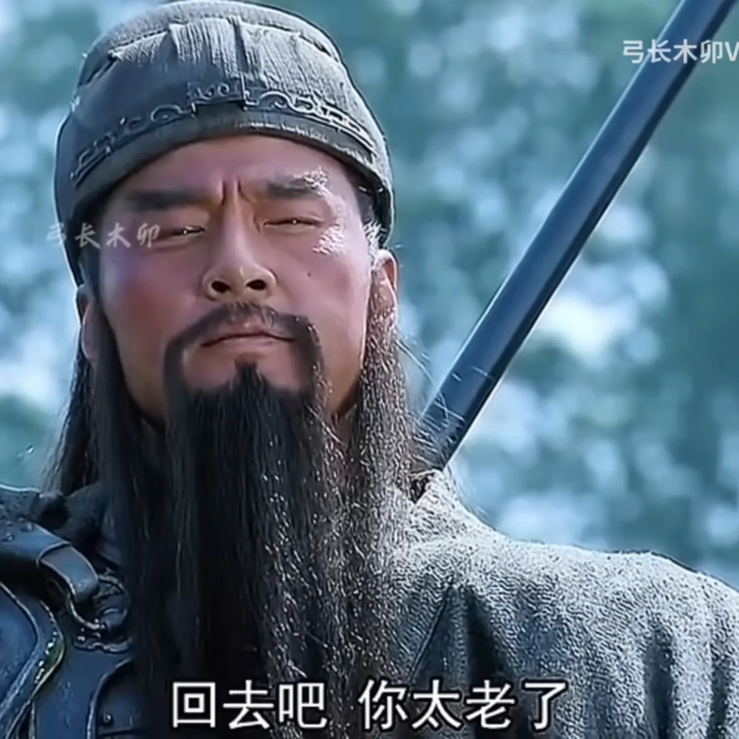 回去吧，你太老了