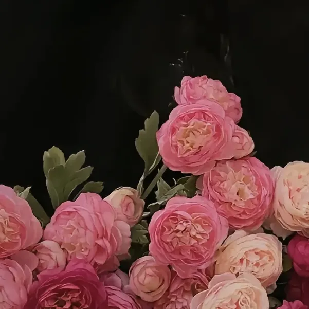 Lin