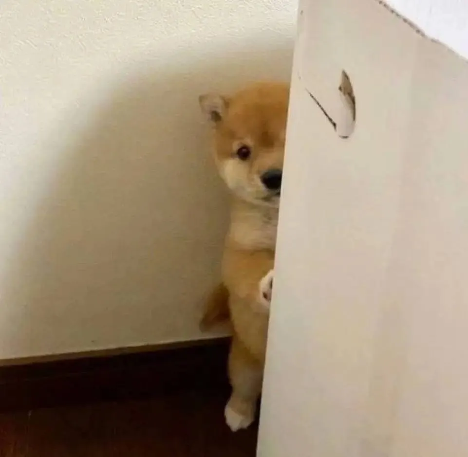 徐洛瑜