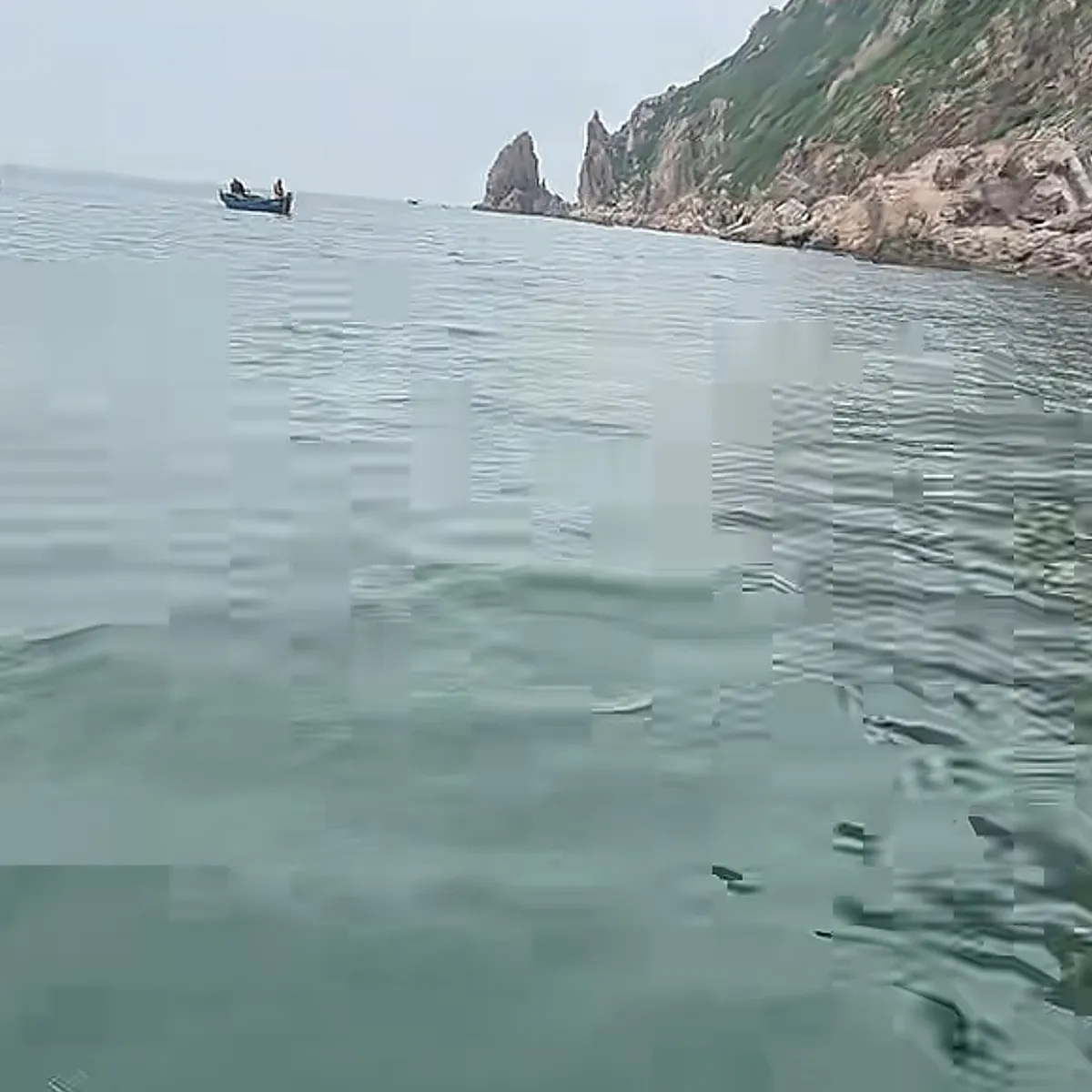 夏