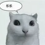 - ̗̀(๑ᵔ⌔ᵔ๑)εïз