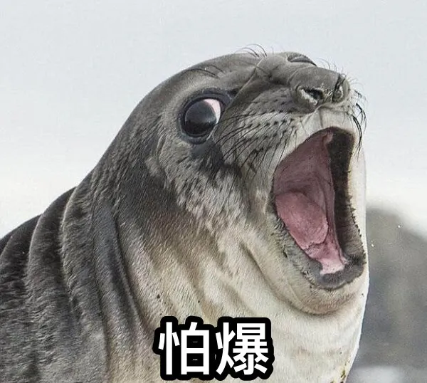 飛鳥優