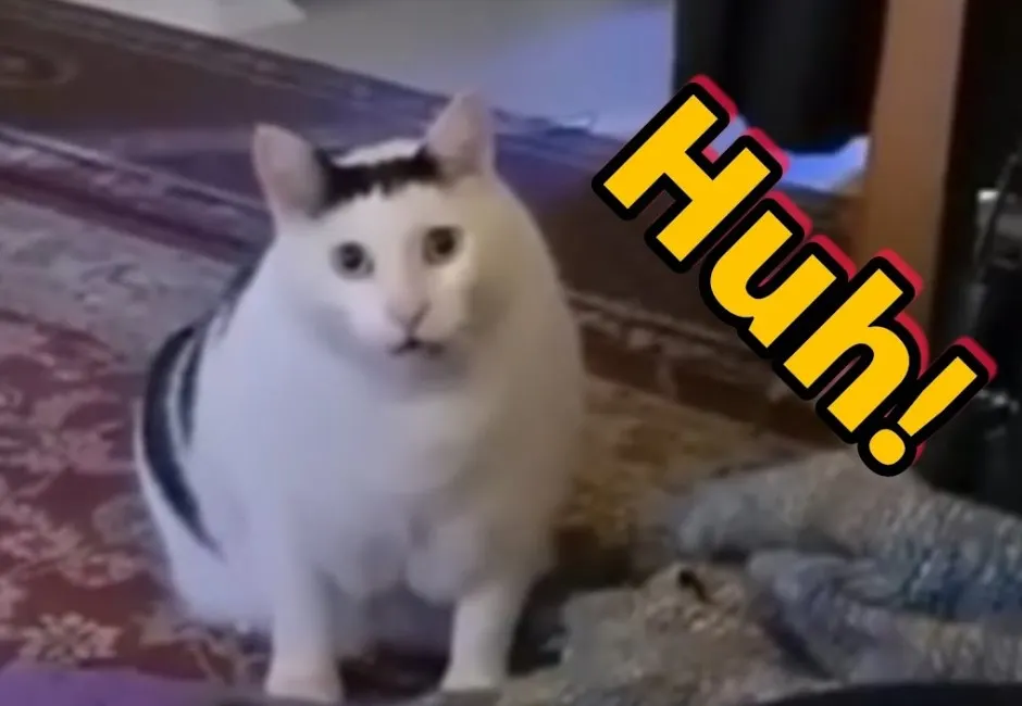 嘯天
