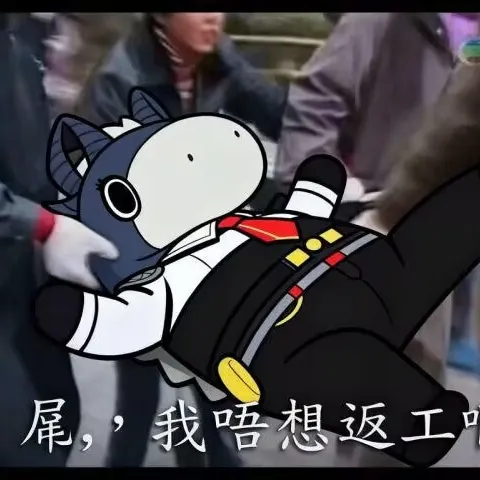 一天不撸积阳德，两天不撸积积阳阳德