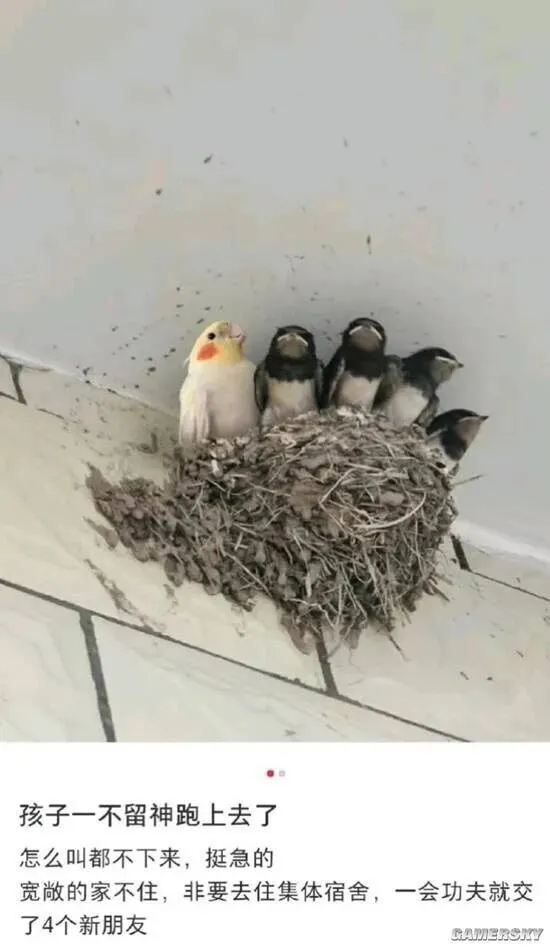 玩家家