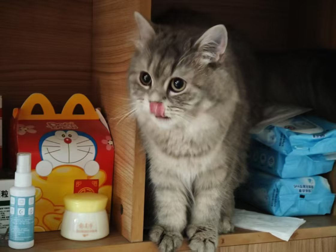 姚杜锌