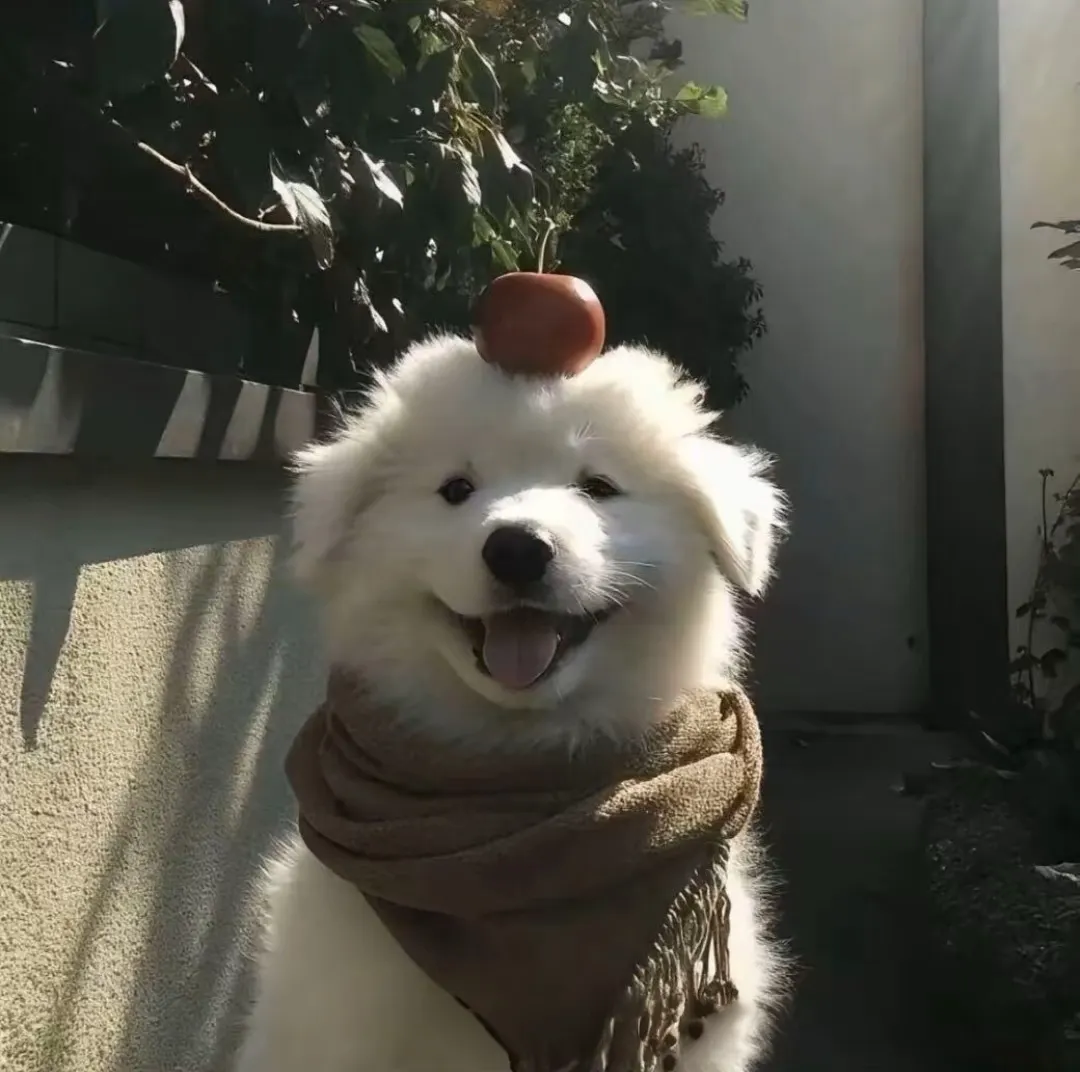锋