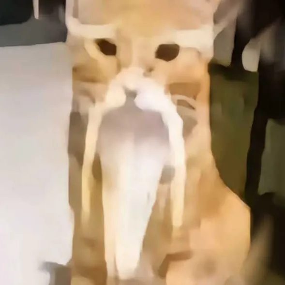 一诺