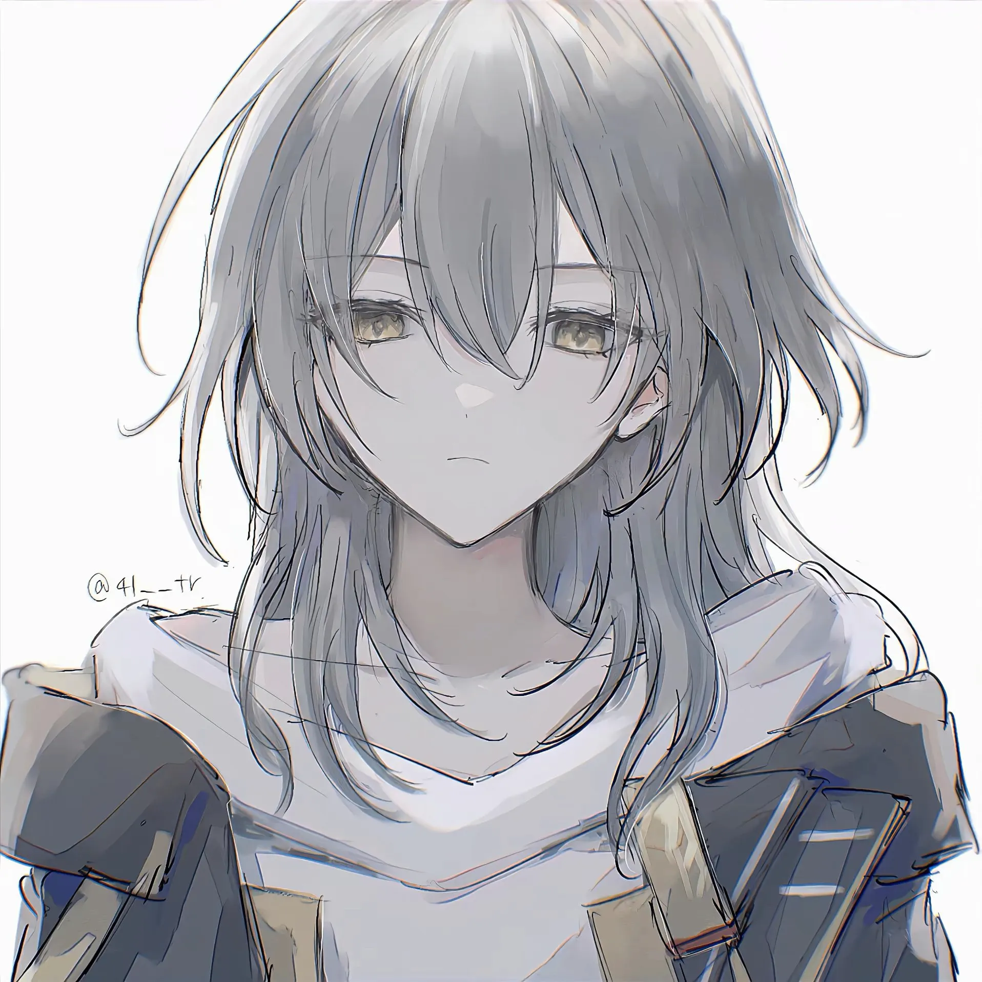 司元驹