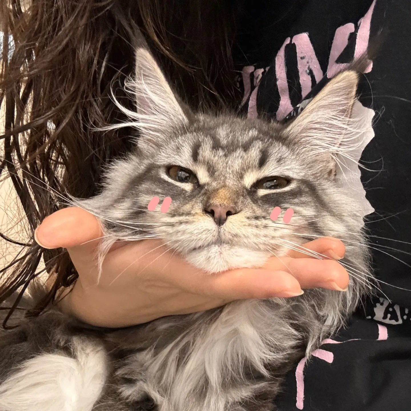 金俊焕