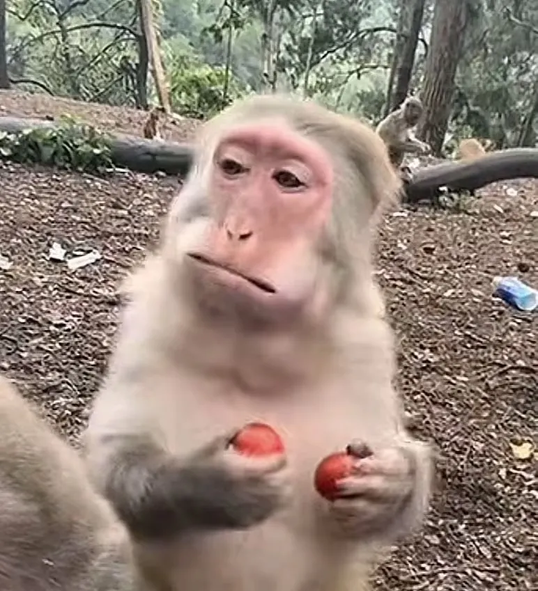 易寒