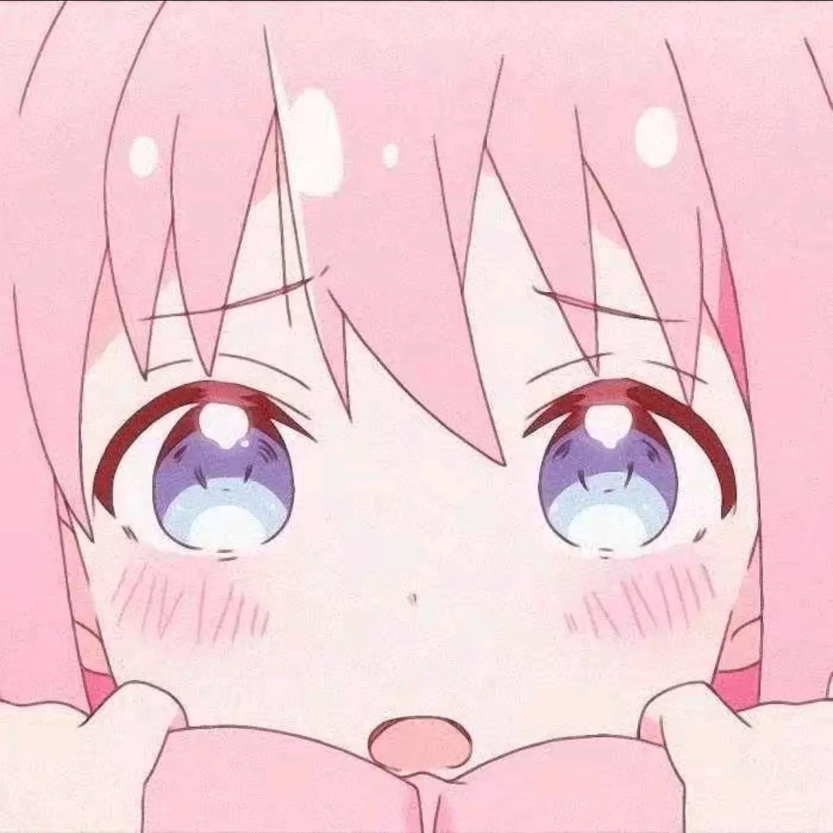 bocchi