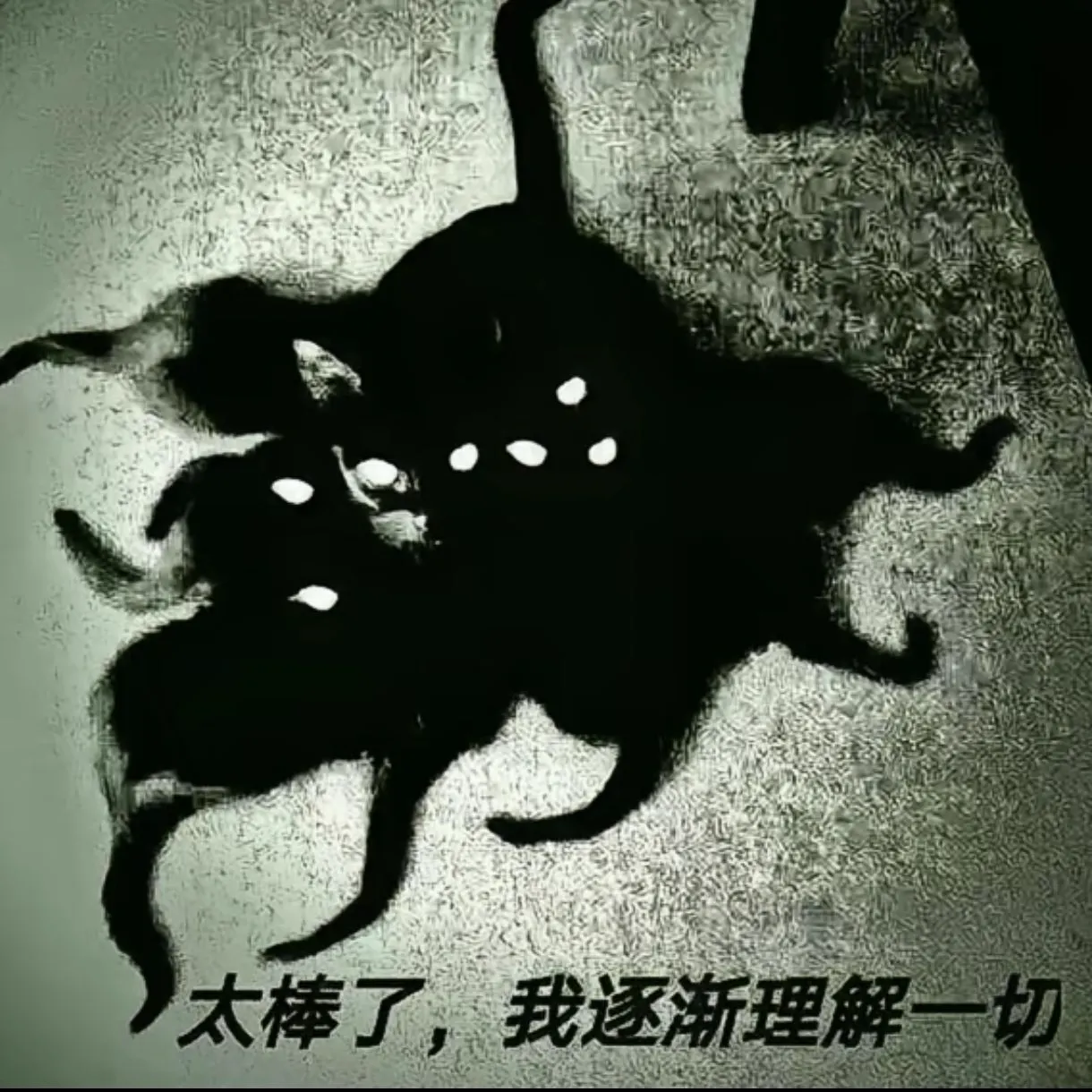 二旬老汉
