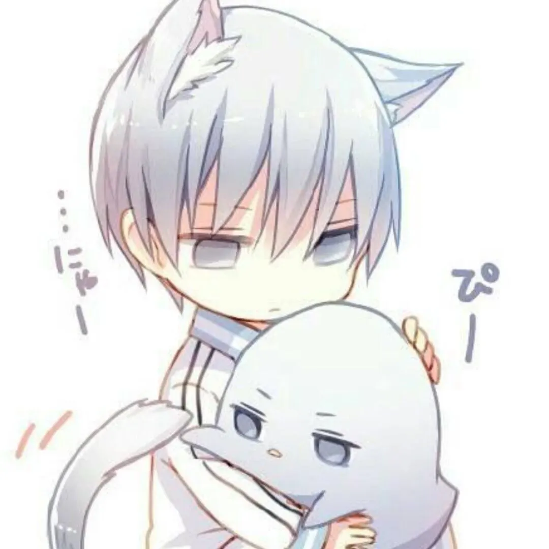 zsp
