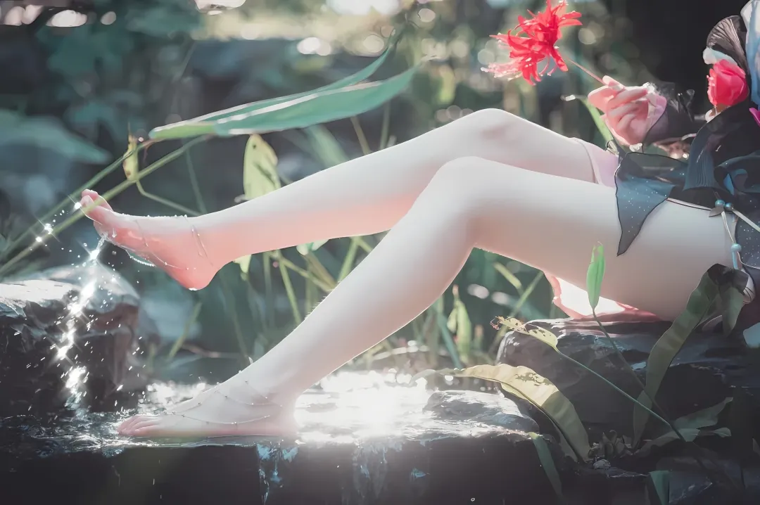 梦
