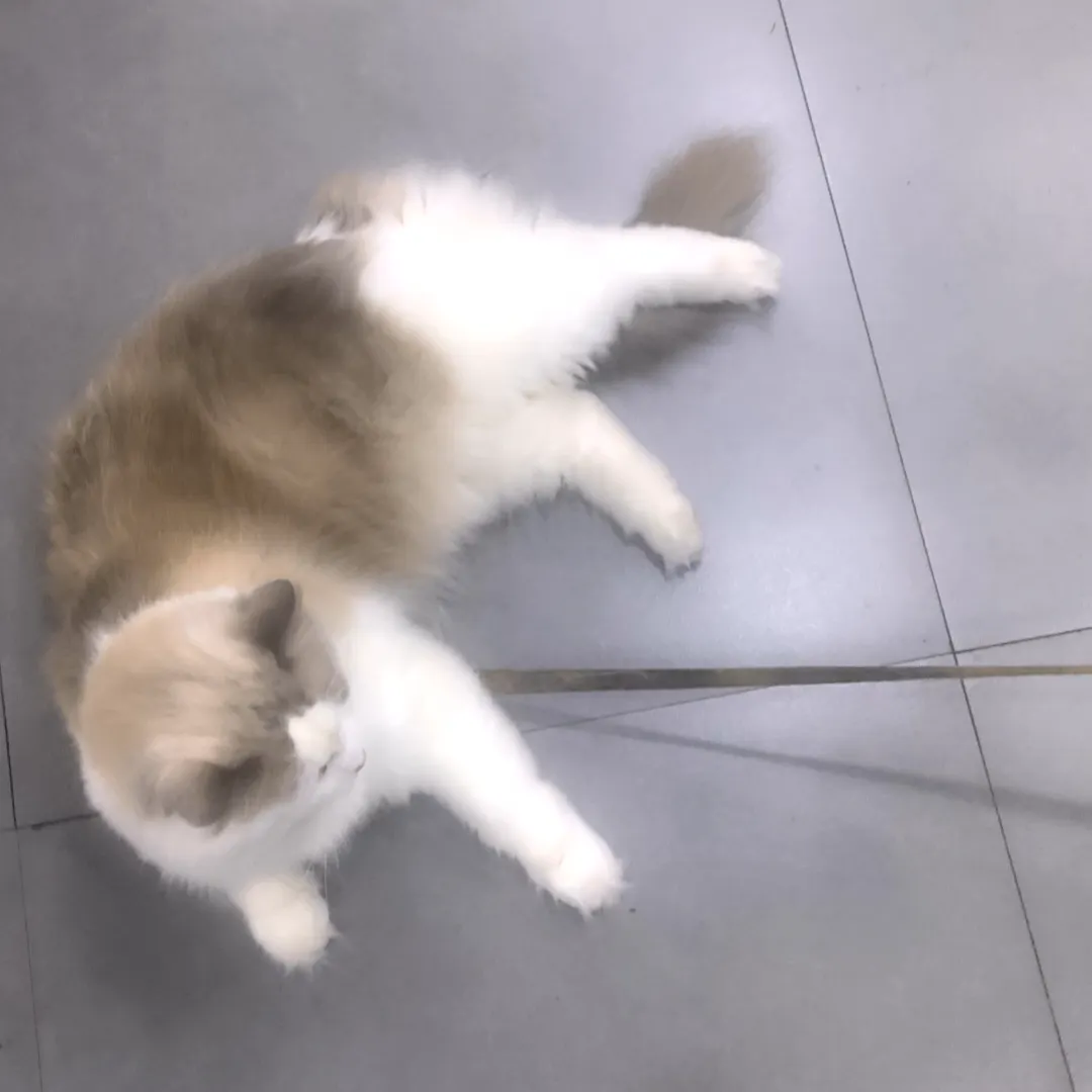 慕容