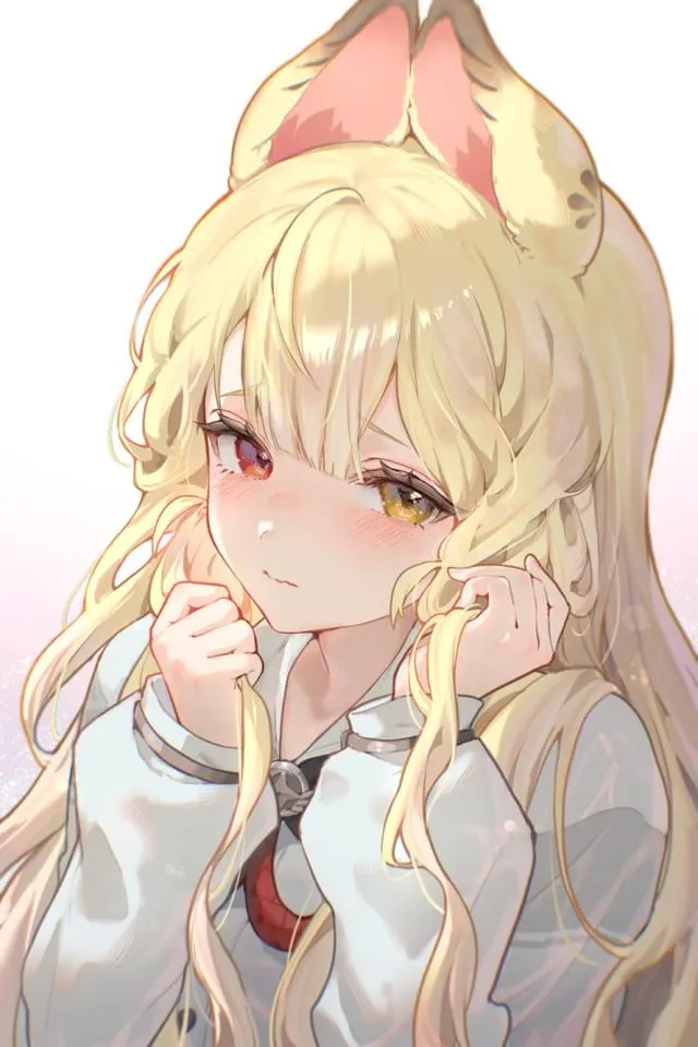 XP至上