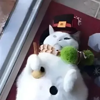 旅者