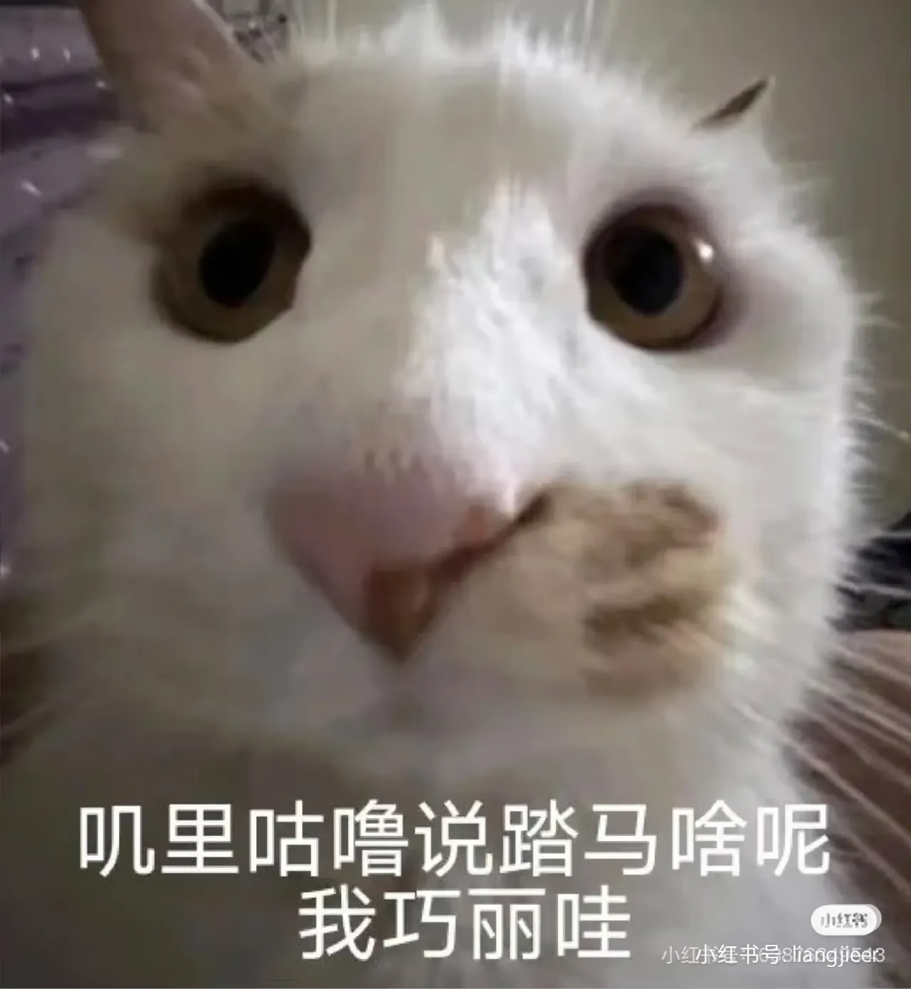 fluffy