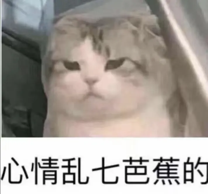 诩