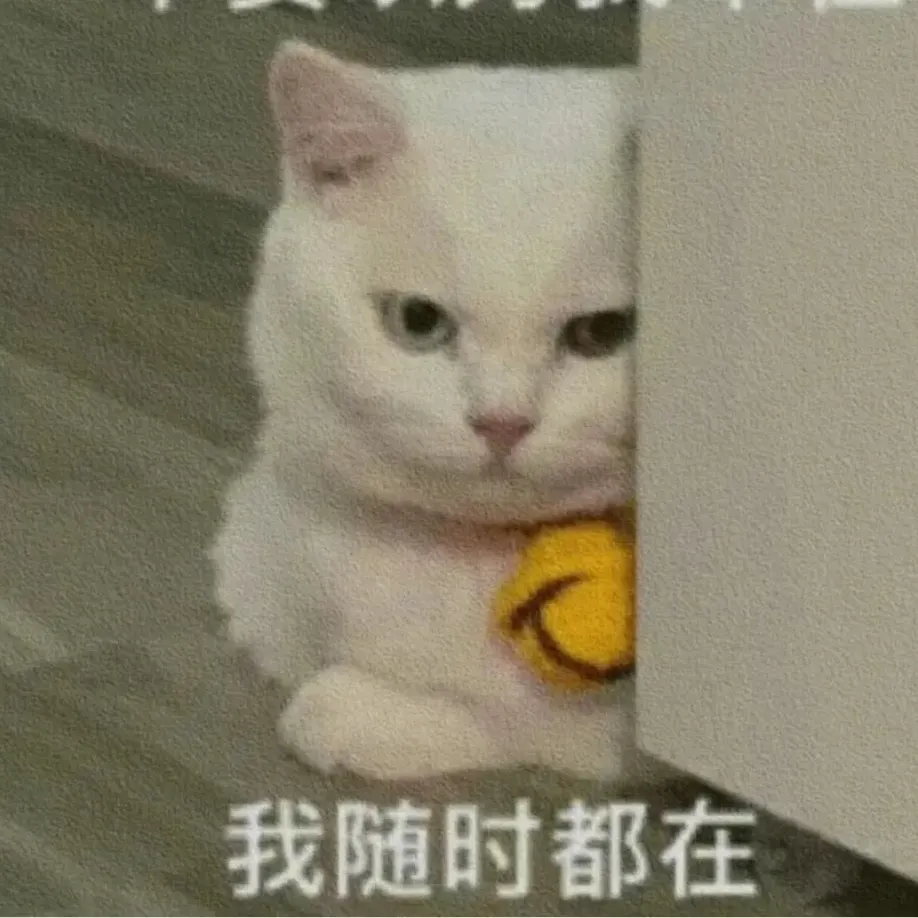 徐阳