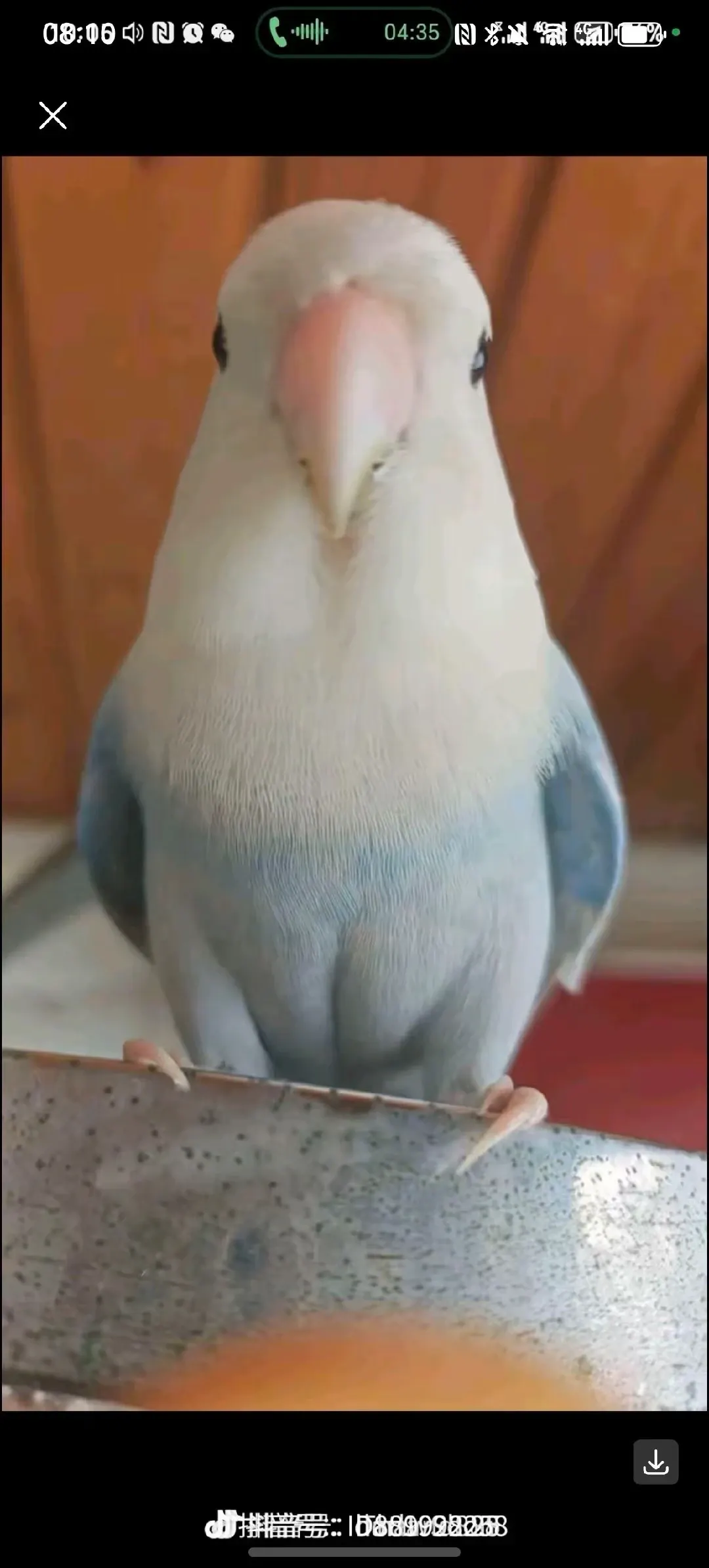 张三
