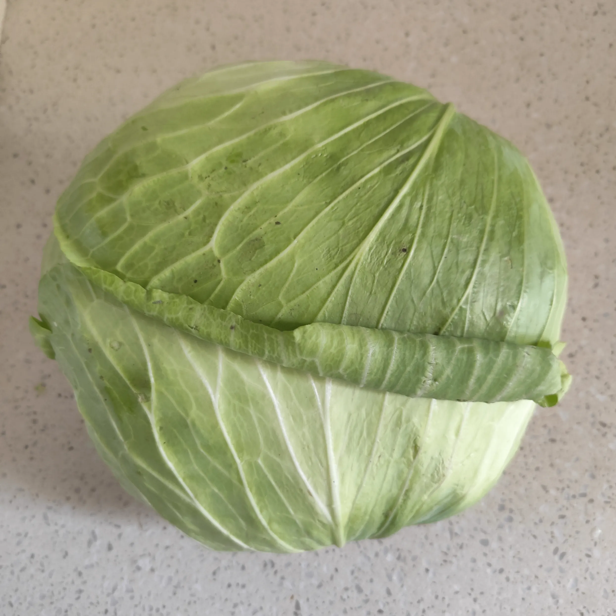 圆白菜（享福去了）