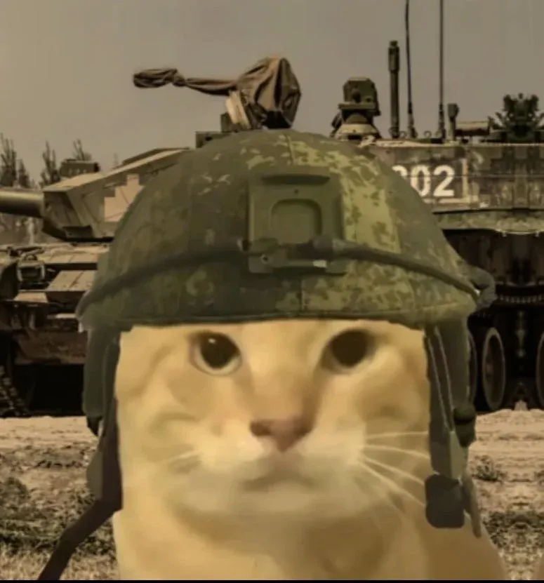家宇
